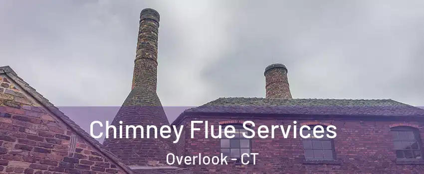 Chimney Flue Services Overlook - CT