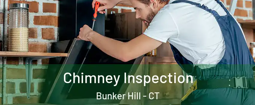 Chimney Inspection Bunker Hill - CT