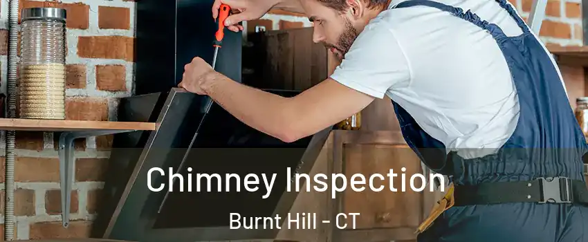 Chimney Inspection Burnt Hill - CT