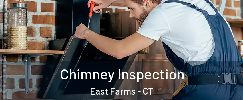 Chimney Inspection East Farms - CT