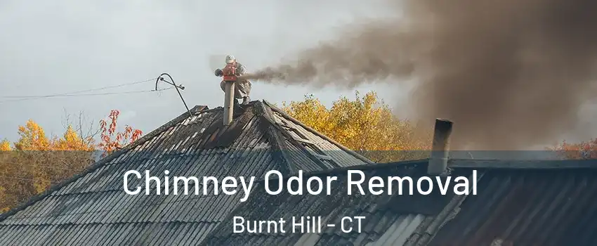 Chimney Odor Removal Burnt Hill - CT