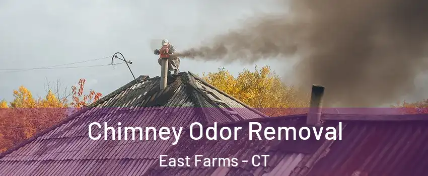 Chimney Odor Removal East Farms - CT