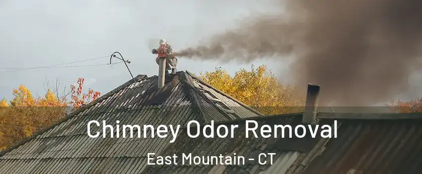 Chimney Odor Removal East Mountain - CT