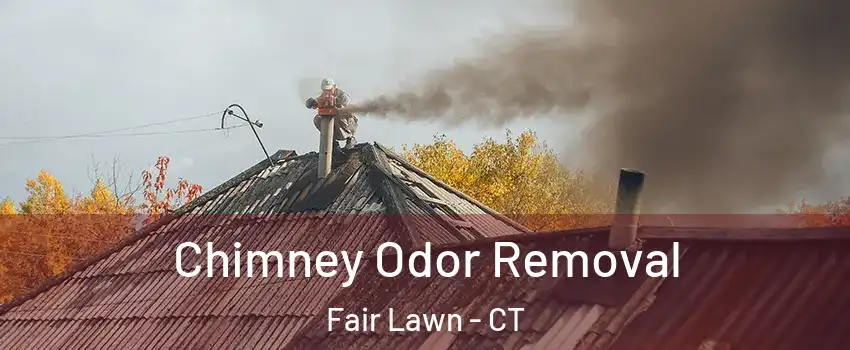 Chimney Odor Removal Fair Lawn - CT