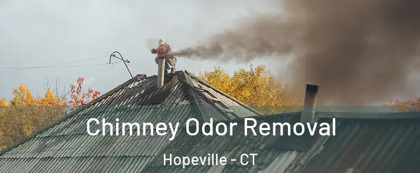 Chimney Odor Removal Hopeville - CT