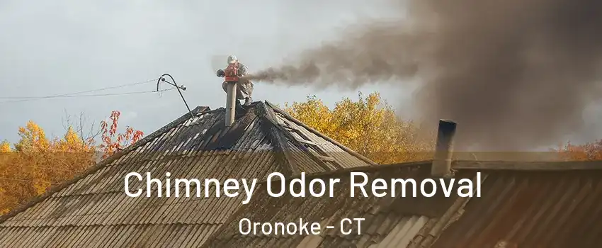 Chimney Odor Removal Oronoke - CT