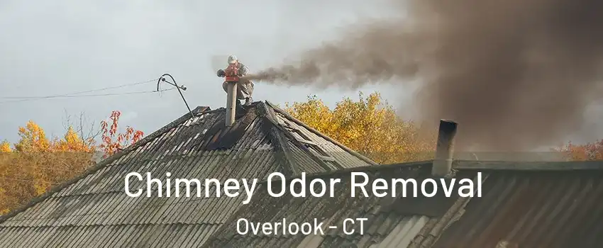 Chimney Odor Removal Overlook - CT