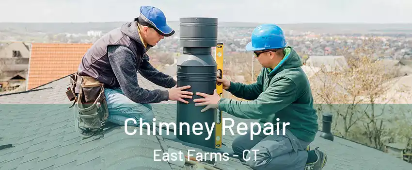 Chimney Repair East Farms - CT