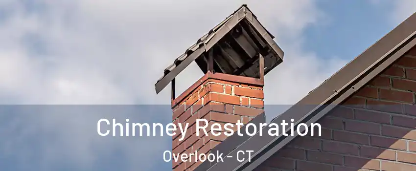 Chimney Restoration Overlook - CT