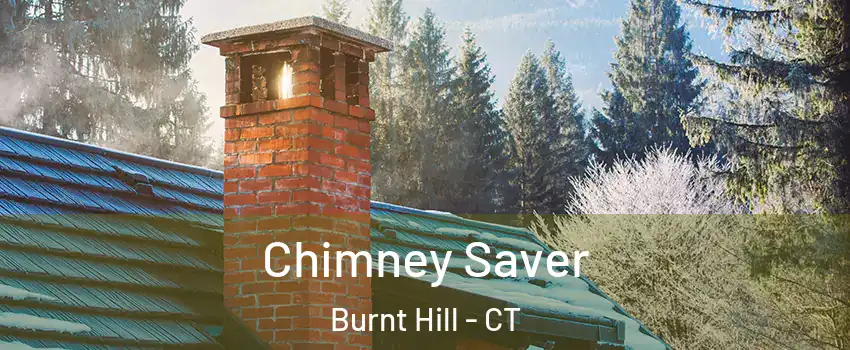 Chimney Saver Burnt Hill - CT