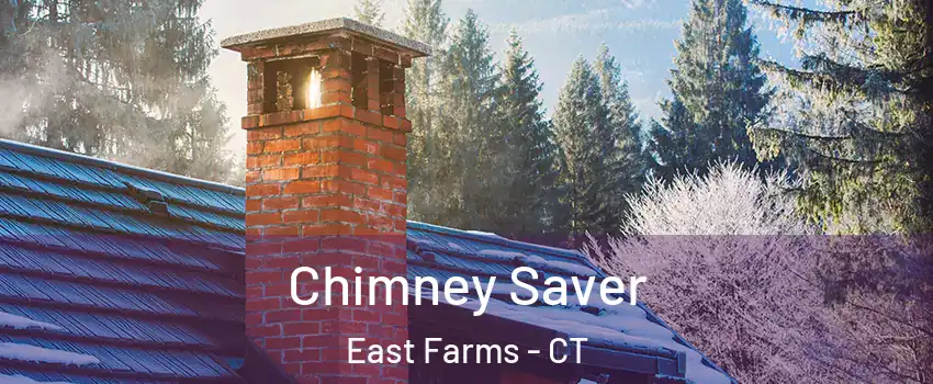 Chimney Saver East Farms - CT