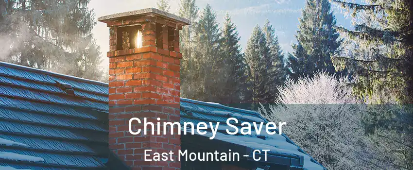 Chimney Saver East Mountain - CT