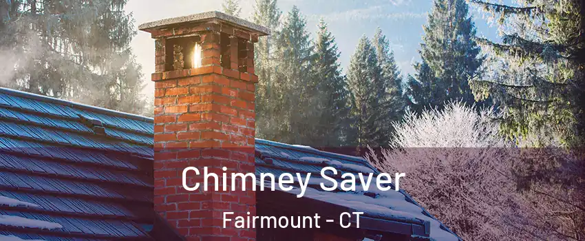 Chimney Saver Fairmount - CT