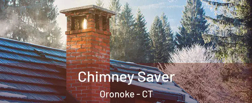 Chimney Saver Oronoke - CT