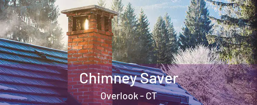 Chimney Saver Overlook - CT