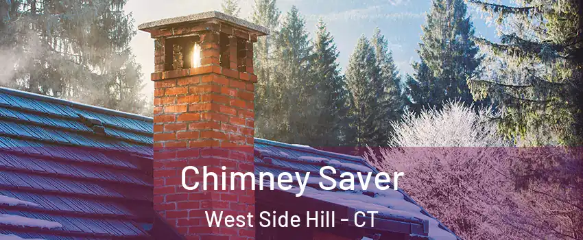 Chimney Saver West Side Hill - CT