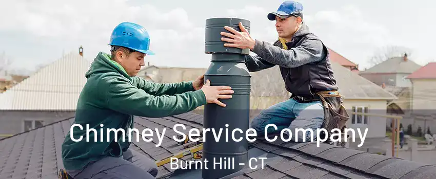 Chimney Service Company Burnt Hill - CT