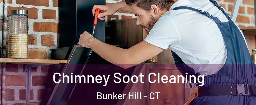 Chimney Soot Cleaning Bunker Hill - CT