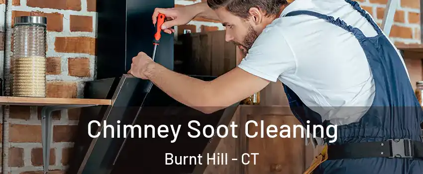 Chimney Soot Cleaning Burnt Hill - CT