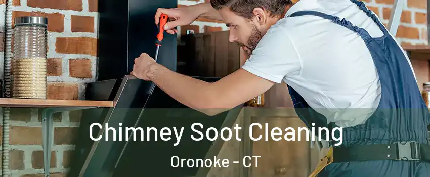 Chimney Soot Cleaning Oronoke - CT