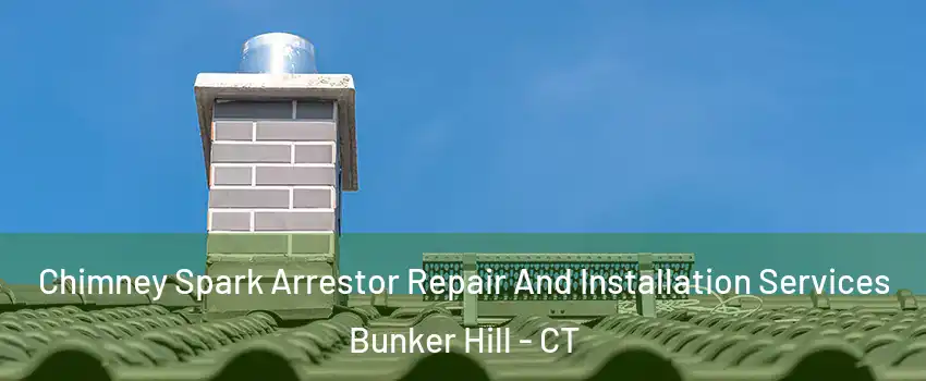 Chimney Spark Arrestor Repair And Installation Services Bunker Hill - CT