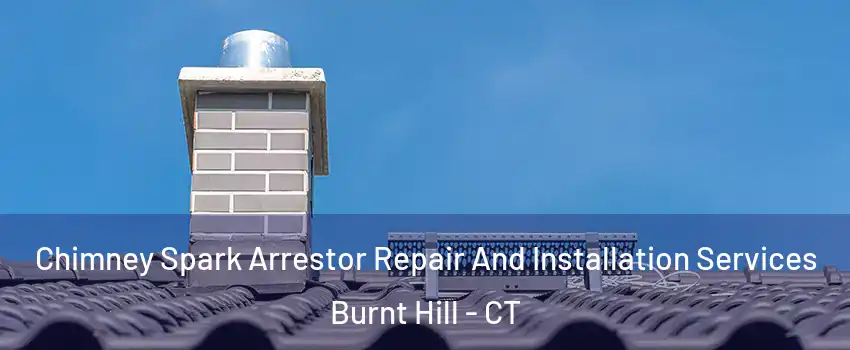 Chimney Spark Arrestor Repair And Installation Services Burnt Hill - CT