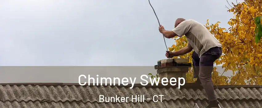 Chimney Sweep Bunker Hill - CT