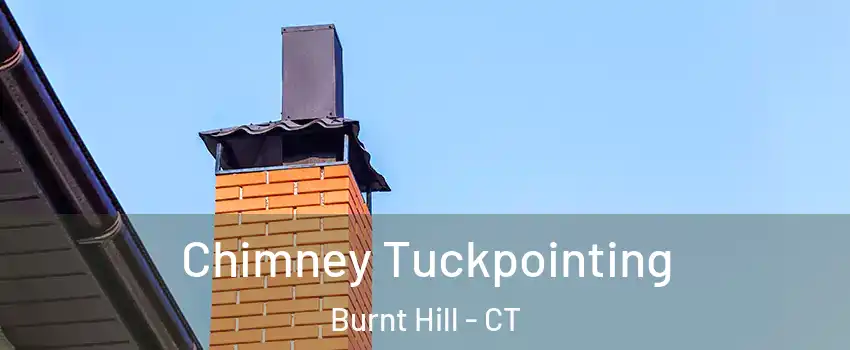 Chimney Tuckpointing Burnt Hill - CT