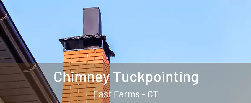 Chimney Tuckpointing East Farms - CT