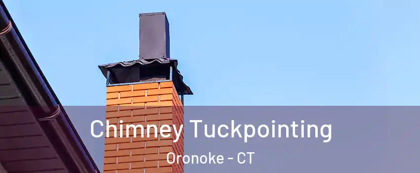 Chimney Tuckpointing Oronoke - CT