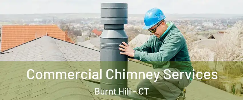 Commercial Chimney Services Burnt Hill - CT