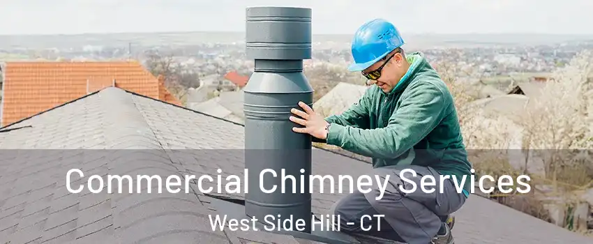 Commercial Chimney Services West Side Hill - CT