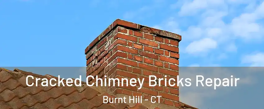 Cracked Chimney Bricks Repair Burnt Hill - CT