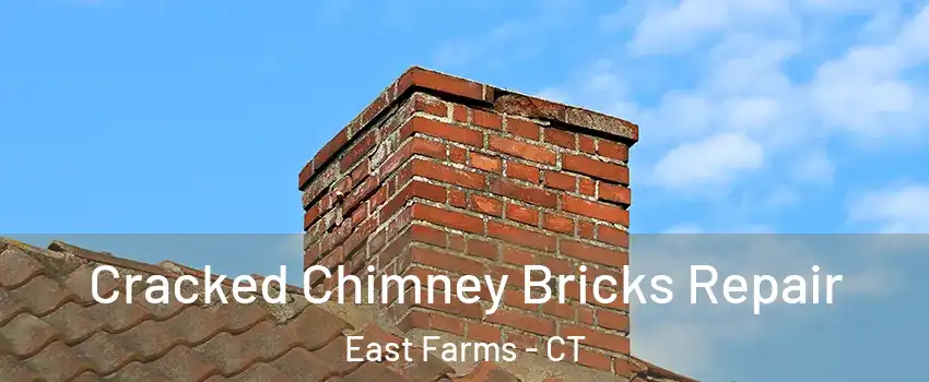 Cracked Chimney Bricks Repair East Farms - CT