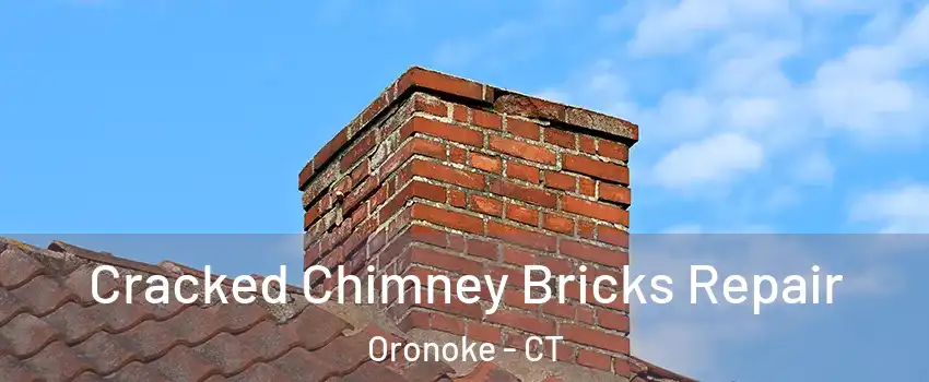 Cracked Chimney Bricks Repair Oronoke - CT