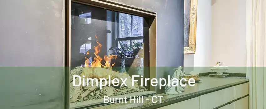 Dimplex Fireplace Burnt Hill - CT