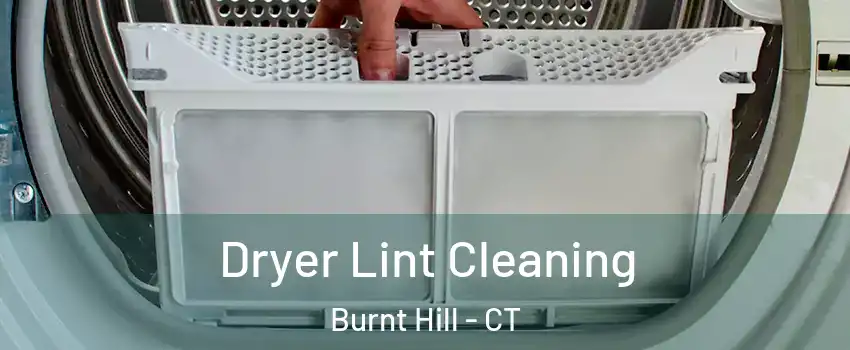 Dryer Lint Cleaning Burnt Hill - CT