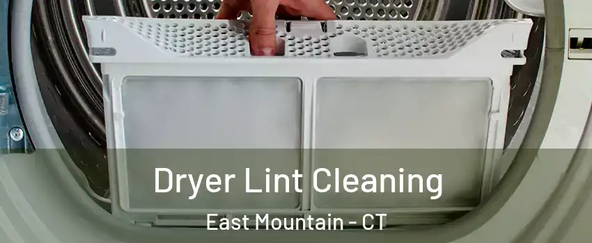 Dryer Lint Cleaning East Mountain - CT