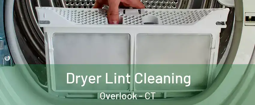 Dryer Lint Cleaning Overlook - CT