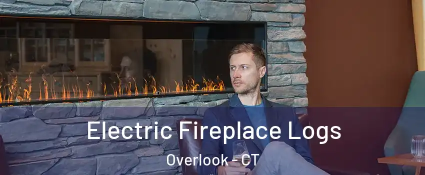 Electric Fireplace Logs Overlook - CT