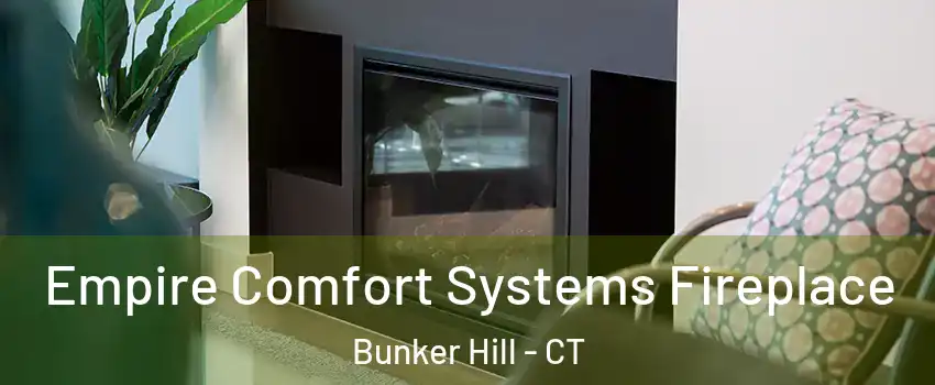 Empire Comfort Systems Fireplace Bunker Hill - CT