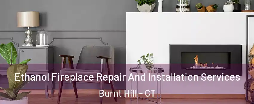 Ethanol Fireplace Repair And Installation Services Burnt Hill - CT