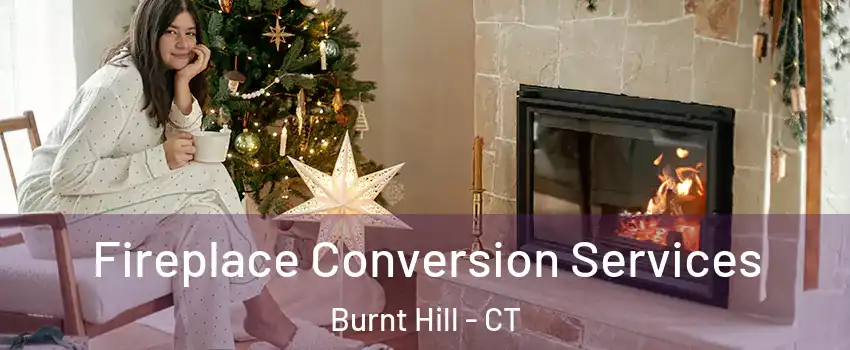 Fireplace Conversion Services Burnt Hill - CT