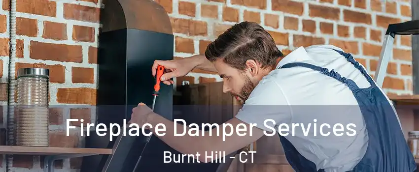 Fireplace Damper Services Burnt Hill - CT