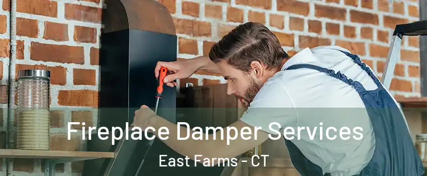 Fireplace Damper Services East Farms - CT