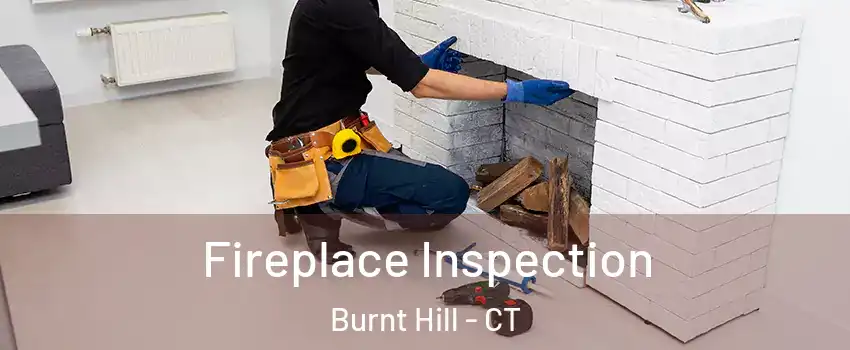 Fireplace Inspection Burnt Hill - CT