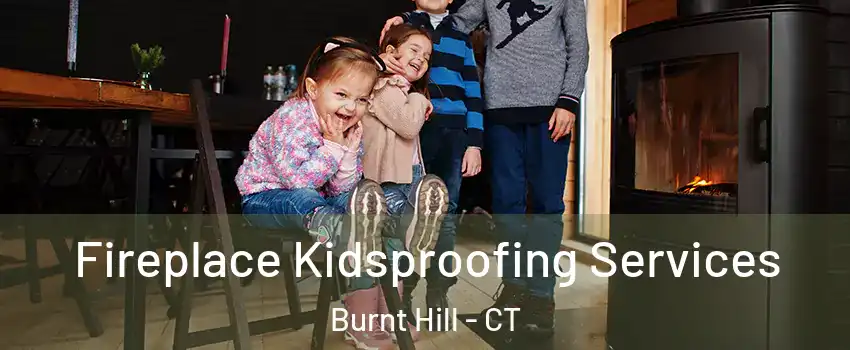 Fireplace Kidsproofing Services Burnt Hill - CT