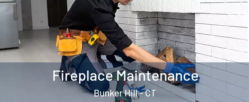 Fireplace Maintenance Bunker Hill - CT