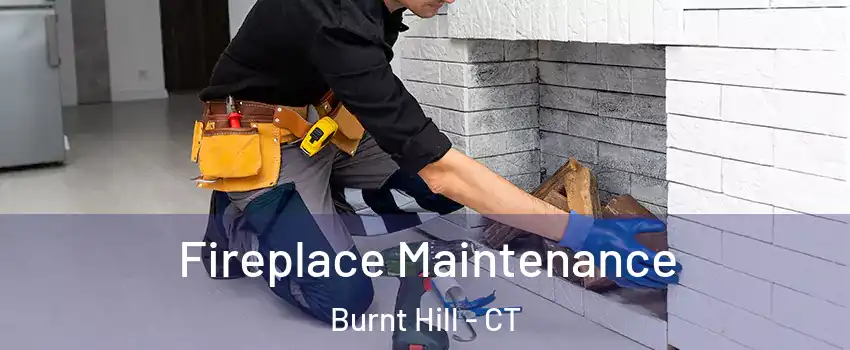 Fireplace Maintenance Burnt Hill - CT