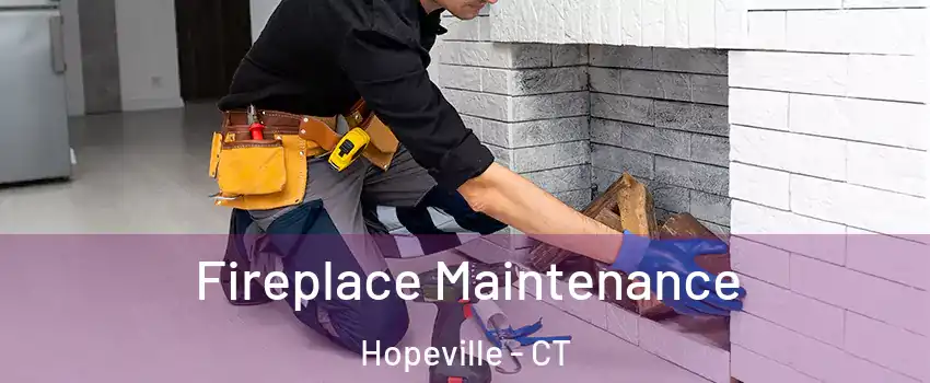 Fireplace Maintenance Hopeville - CT